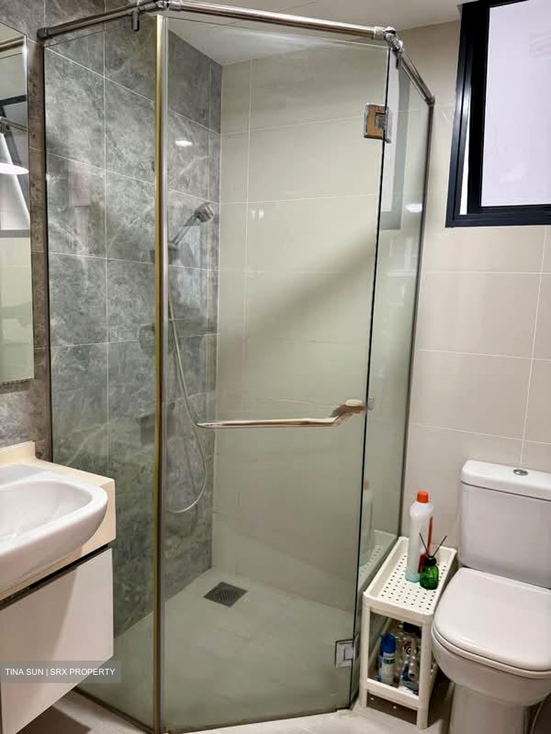 La Fiesta (D19), Condominium #549330301